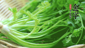 挑選鮮嫩的香菜，洗干凈后，處理成小段。